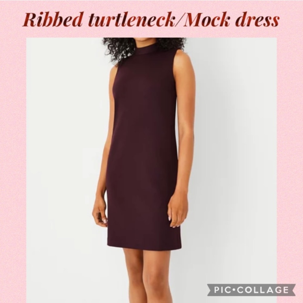 AT Ribbed turtleneck Dress with Turtleneck top and attacked silk shirt